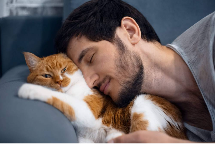 რატომ უყვარს კატას პატრონის თავზე ძილი?