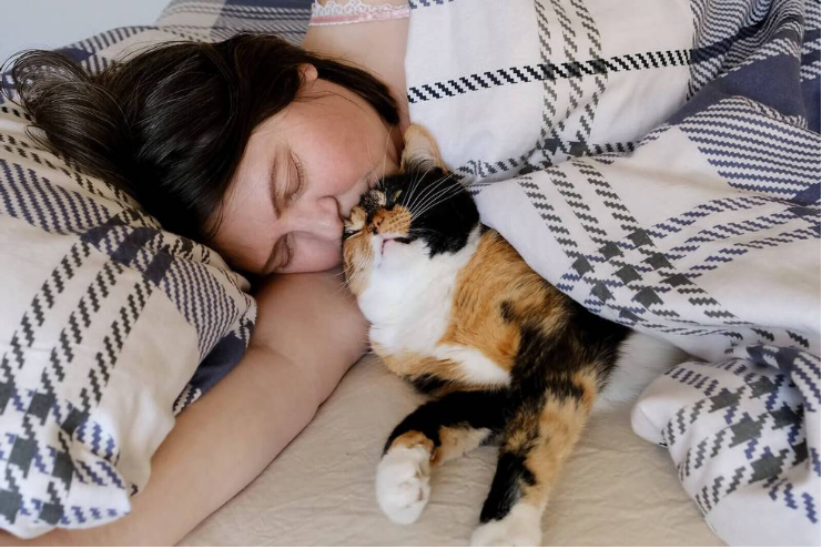 რატომ წვება კატა ადამიანზე და რატომ იძინებს მასზე?