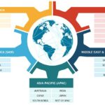 Paper and Paperboard Market Size, Share, and Competitive Landscape Forecast till 2034